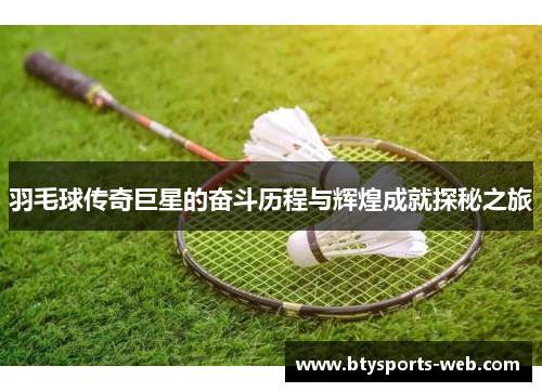 羽毛球传奇巨星的奋斗历程与辉煌成就探秘之旅